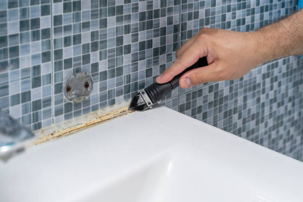 Best Bathroom Mold Remediation in Spencerville, MD