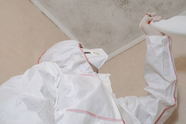 Best Health and Safety Mold Remediation in Spencerville, MD