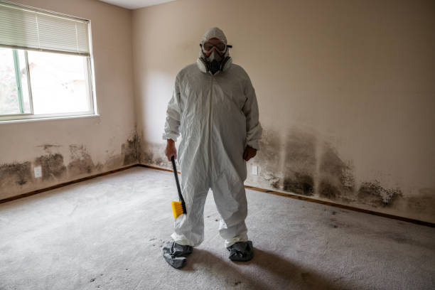 Best Industrial Mold Remediation in Spencerville, MD